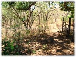 Tamarindo land, for sale, oceanview, mountain view, hills, creek, nature, animals, trees, tamarindo downtown, beach, 1580