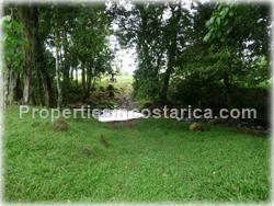 Guapiles Limon, Guapiles for sale, Guapiles real estate,land for cattle, pasture, agriculture, investment land, Costa Rica,1708