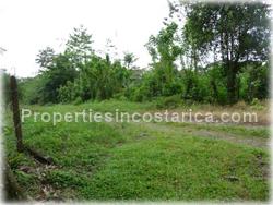 Guapiles Limon, Guapiles for sale, Guapiles real estate,land for cattle, pasture, agriculture, investment land, Costa Rica,1708