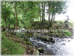 Guapiles Limon, Guapiles for sale, Guapiles real estate,land for cattle, pasture, agriculture, investment land, Costa Rica,1708