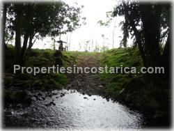 Guapiles Limon, Guapiles for sale, Guapiles real estate,land for cattle, pasture, agriculture, investment land, Costa Rica,1708