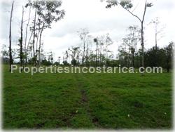 Guapiles Limon, Guapiles for sale, Guapiles real estate,land for cattle, pasture, agriculture, investment land, Costa Rica,1708