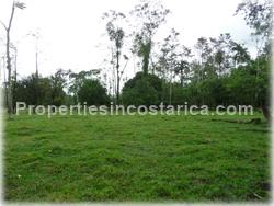 Guapiles Limon, Guapiles for sale, Guapiles real estate,land for cattle, pasture, agriculture, investment land, Costa Rica,1708