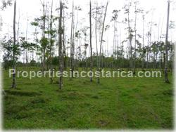 Guapiles Limon, Guapiles for sale, Guapiles real estate,land for cattle, pasture, agriculture, investment land, Costa Rica,1708
