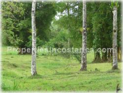Guapiles Limon, Guapiles for sale, Guapiles real estate,land for cattle, pasture, agriculture, investment land, Costa Rica,1708