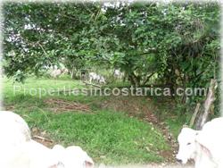 Guapiles Limon, Guapiles for sale, Guapiles real estate,land for cattle, pasture, agriculture, investment land, Costa Rica,1708