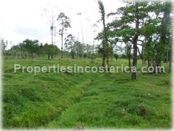 Guapiles Limon, Guapiles for sale, Guapiles real estate,land for cattle, pasture, agriculture, investment land, Costa Rica,1708