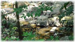 Costa Rica land, lots for sale, Orotina real estate, San Mateo, Alajuela, estate properties, acreage lots, 2042