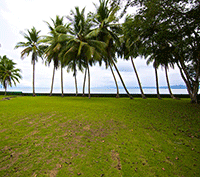 Secluded Beachfront Eco Lodge/Private Estate
