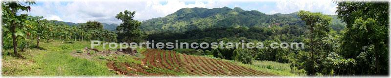 Atenas real estate, Atenas for sale, land for sale, Costa Rica land for sale, Costa Rica real estate, international investment, land investment, hectares for sale, acreage for sale, best investments, world best weather, Atenas land, 1781