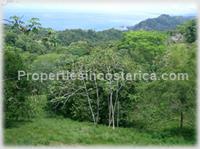 Pacific edge ridge lot for sale in Dominical