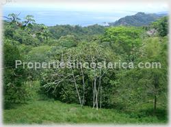 Lot for sale, Dominical ocean view lot, residential lot, Dominical real estate, Dominical Pacific ridge, Costa Rica ocean view land, airport, beachm internet service, 1476
