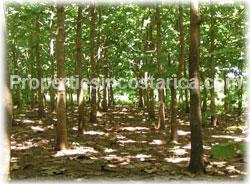 Costa Rica real estate, Guanacaste Real Estate, for sale, land for sale, development farm, titled land, Costa Rica farms
