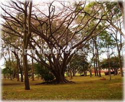 San Jose real estate, Rohrmoser for sale, Escazu, exclusive, security, views, lounge,