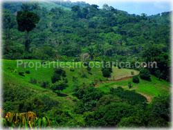Pavones Costa Rica, for sale, Pavones real estate, land, investment land, south pacific, 1819