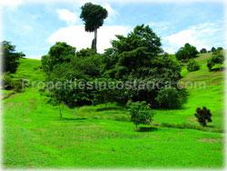 Pavones Costa Rica, for sale, Pavones real estate, land, investment land, south pacific, 1819