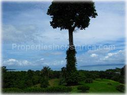 Pavones Costa Rica, for sale, Pavones real estate, land, investment land, south pacific, 1819