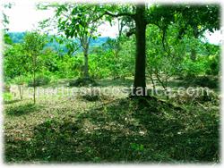 Pavones real estate, for sale, land in pavones, oceanview, south pacific, Pavones Costa Rica, 1826