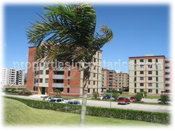Real Estate for sale, Bargain Bargain real estate