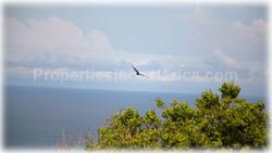 Santa Teresa, real estate, Mal Pais, beach, land, for sale, prime, premier, ocean view,