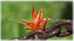 Santa Teresa, real estate, Mal Pais, beach, land, for sale, prime, premier, ocean view,