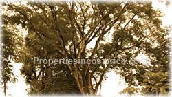 Santa Teresa, real estate, Mal Pais, beach, land, for sale, prime, premier, ocean view,