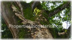 Santa Teresa, real estate, Mal Pais, beach, land, for sale, prime, premier, ocean view,