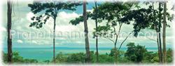 Uvita lands, Uvita lots, Uvita for sale, Uvita real estate, south pacific, affordable, planned amenities, green zones, hiking, beach, ocean views, mountain views, electricity, well, available,1513
