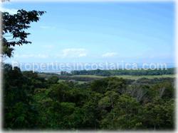 Costa Rica ocean view, Costa Rica lots, Hatillo Puntarenas real estate, Hatillo in Puntarenas, Hatillo beach, Hatillo ocean view, Hatillo lot for sale, security, wildlife, peace, rivers, rainforest, acre, hectares,1518