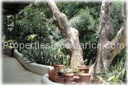 Ciudad Colon for sale, investment, income, nature, business,ciudad colon real estate, fruit trees, university for peace,universidad para la paz, 1706