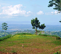 Epic Ocean Views, Huge Building Sites, Reduced from $175,000 to $55,000!!!