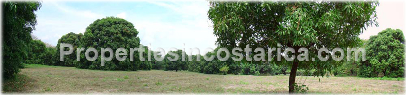 Orotina land, for sale, Pacific Highway land, lots, new highway lots, investment opportunity, Costa Rica new highway,