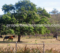 Hacienda Los Ceibos, a Developed Private Community in the Central Pacific
