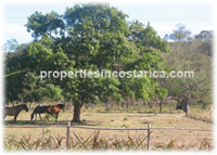 Hacienda Los Ceibos, a Developed Private Community in the Central Pacific
