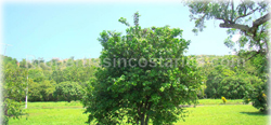 Hermosa for sale, Hermosa beach, lots for sale, Costa Rica Hermosa, Hermosa investment, 1697