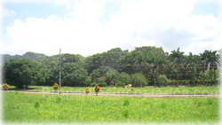 Hermosa for sale, Hermosa beach, lots for sale, Costa Rica Hermosa, Hermosa investment, 1697