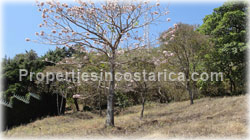 Escazu land for sale, Escazu lot, Escazu investment, residential lot, premiere area, upclass, mountain view, valley view, location, 1681