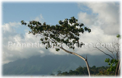 Costa Rica land for sale, beach, Dominical real estate, Puntarenas, 360 degree view, surfers, travellers, tropical, rich, river view, mountain view, ocean view,1510