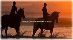 Santa Teresa, real estate, for sale, beach front, water front, ocean front, for sale, villas, development, investment, white sand, guanacaste, puntarenas, nicoya peninsula,