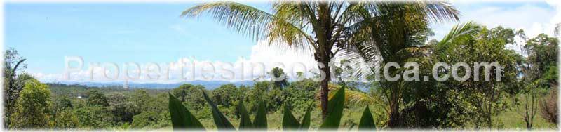 San Isidro, Real Estate, Perez Zeledon, for sale, land, farms, farm, acreage, properties, agriculture, cattle, residential development