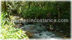 San Isidro, Real Estate, Perez Zeledon, for sale, land, farms, farm, acreage, properties, agriculture, cattle, residential development
