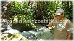 San Isidro, Real Estate, Perez Zeledon, for sale, land, farms, farm, acreage, properties, agriculture, cattle, residential development