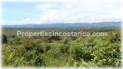 San Isidro, Real Estate, Perez Zeledon, for sale, land, farms, farm, acreage, properties, agriculture, cattle, residential development