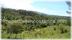 San Isidro, Real Estate, Perez Zeledon, for sale, land, farms, farm, acreage, properties, agriculture, cattle, residential development