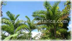 San Isidro, Real Estate, Perez Zeledon, for sale, land, farms, farm, acreage, properties, agriculture, cattle, residential development