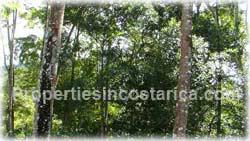 San Isidro, Real Estate, Perez Zeledon, for sale, land, farms, farm, acreage, properties, agriculture, cattle, residential development