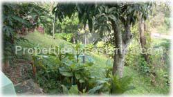 Escazu large estate, for sale, jungle surrounded, private, secure, swimming pool, jacuzzi, 1647