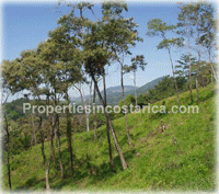 Secluded ocean view lot for sale in Hatillo, Puntarenas, 6km away from Dominical