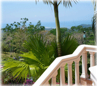 South Pacific Bliss