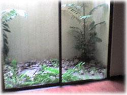Costa Rica real estate, Escazu condo for rent, Escazu rentals, Escazu gated community, Guachipelin, Multiplaza, Cima